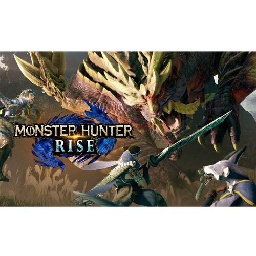 NSW Monster Hunter Rise
