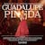 CD+ DVD Guadalupe Pineda- Homenaje a Los Grandes Compositores