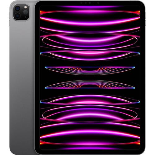 iPad Pro 11 WiFi 1TB space gray D2