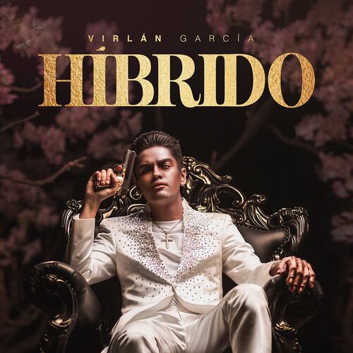 CD Virlan Garcia Híbrido
