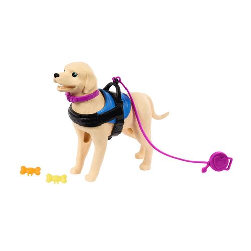 Barbie Set de Juego Muñeca en Silla de Ruedas con Perro