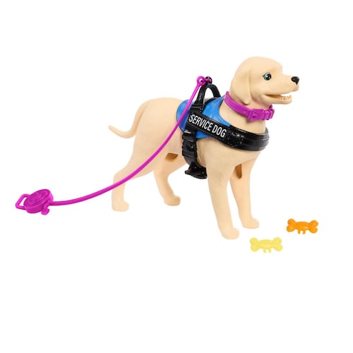 Barbie Set de Juego Muñeca en Silla de Ruedas con Perro