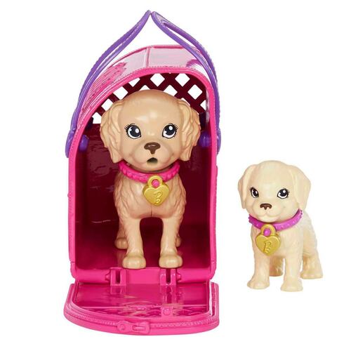 Adopta un Perrito Latina
