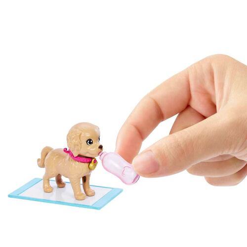 Adopta un Perrito Latina