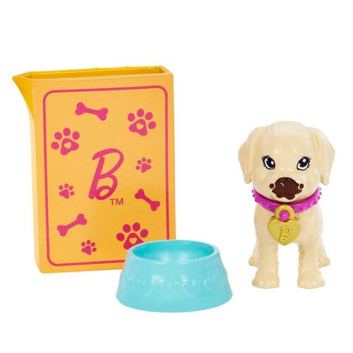 Adopta un Perrito Latina