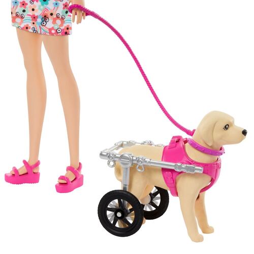Barbie - Set de Juego Paseo de Perrito con Silla de Ruedas