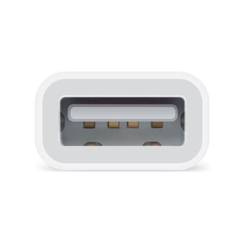 Apple Adaptador Lightning - Usb