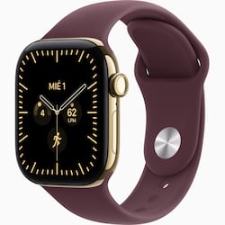 apple-watch-12-42-rg-ti-br-sb-ml-cel-bes
