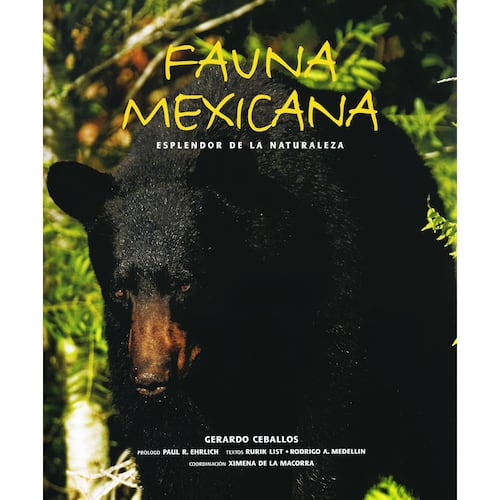 Fauna mexicana esplendor de la naturaleza