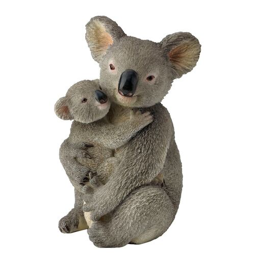 Koala holding