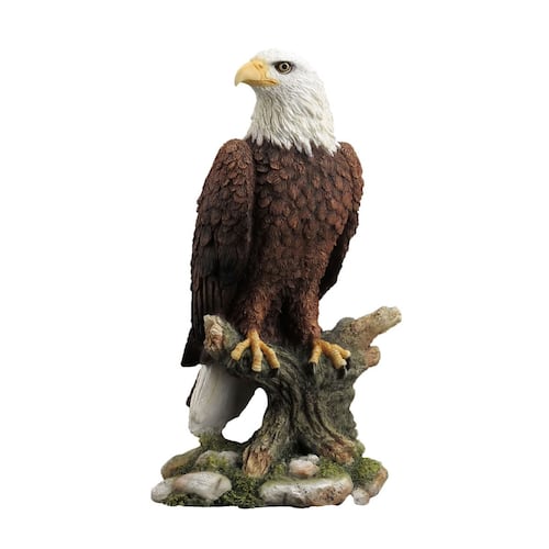 Bald eagle perching on tree branch