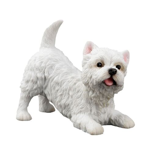 West highland white terrier