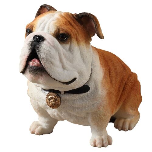Figura Decorativa Bulldog Inglés