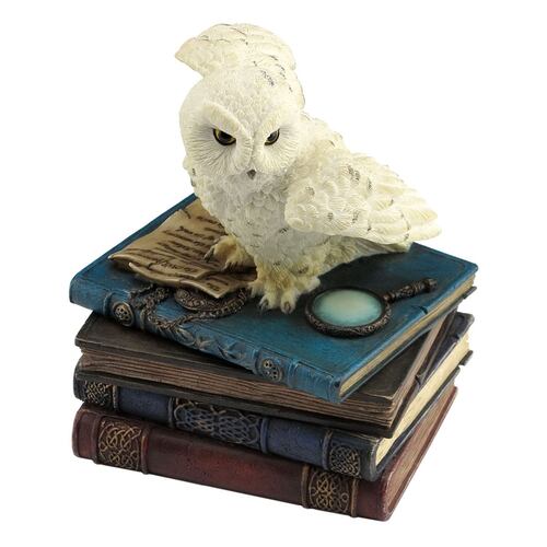 Búho blanco sobre libros