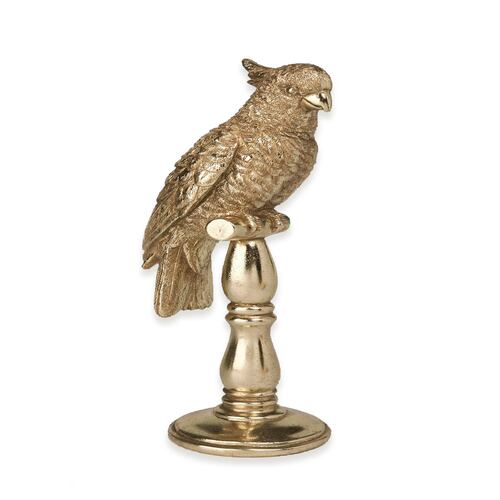 Loro de Pie Sobre Columna Resina