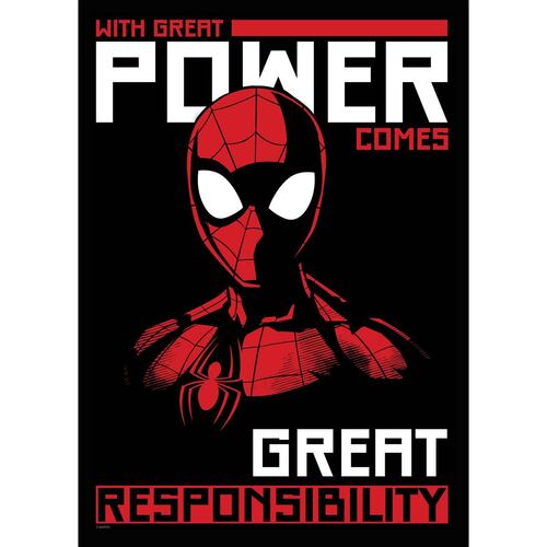 Placa de adorno great power spider-man