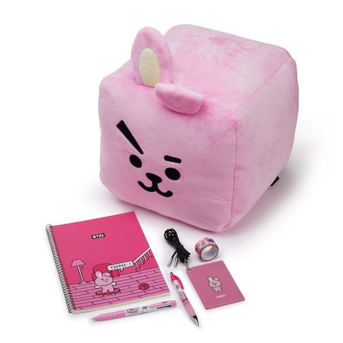 Paquete Cooky 22