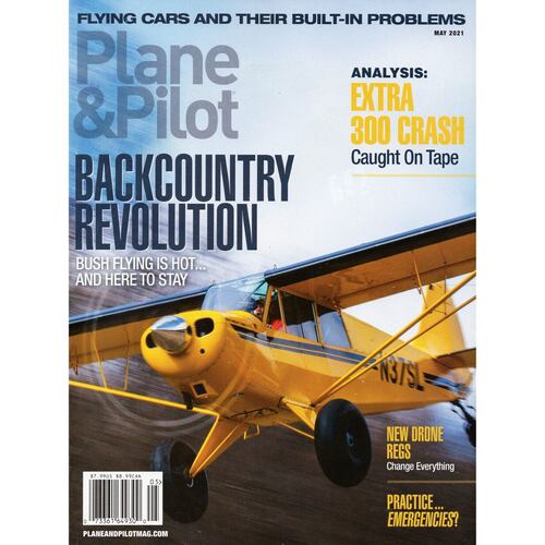 Plane and Pilot