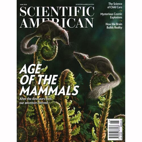 SCIENTIFIC AMERICAN