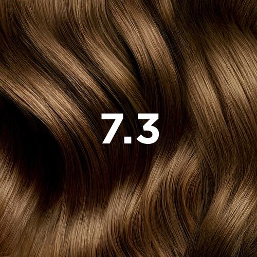 Phytocolor 7.3 Blond Doré