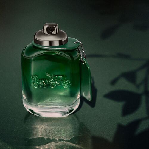 Coach Man Green EDT 100 ML