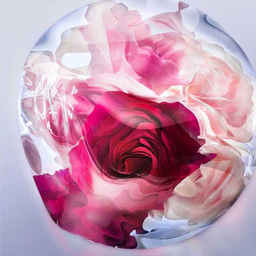 Fragancia para Dama La Vie Est Belle Rose Extraordinaire Edp100 ml
