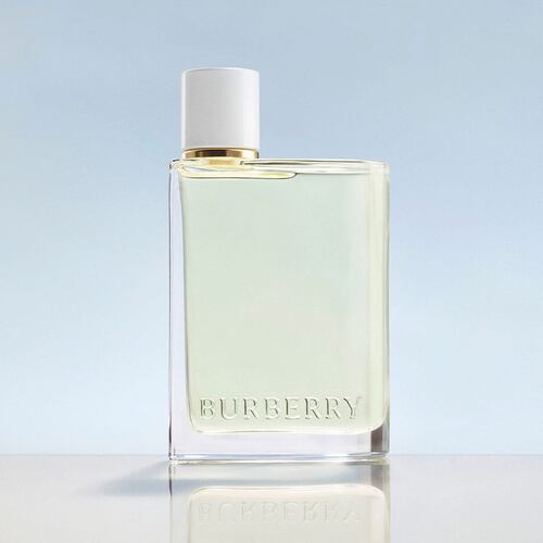 burberry descargar libros gratis