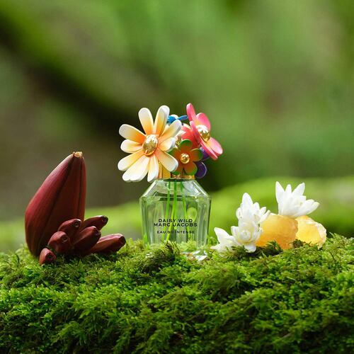 Fragancia Marc Jacobs Daisy Wild Eau de Parfum Intense 100 ml para Dama