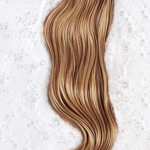 Phyto Softness Shampoo Suave Uso Frecuente