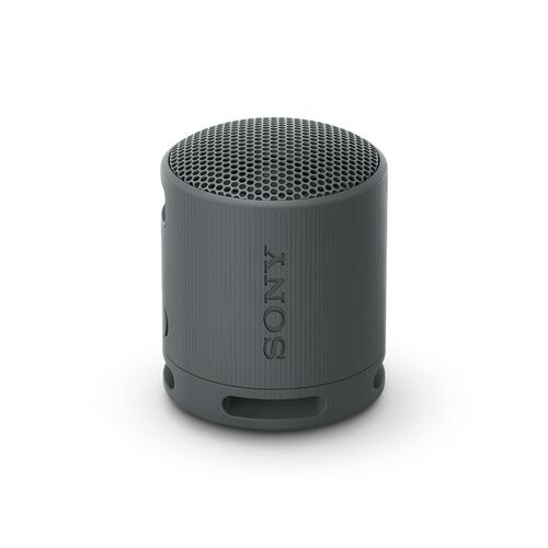 Bocina Portátil Sony XB100 Negra