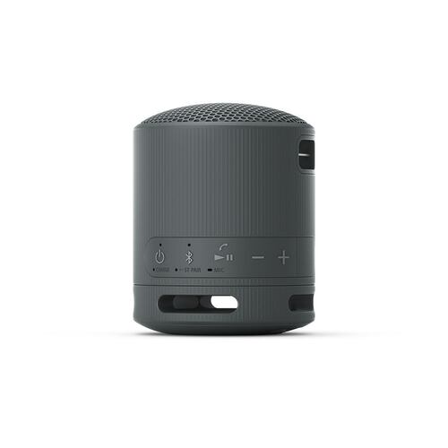Bocina Portátil Sony XB100 Negra
