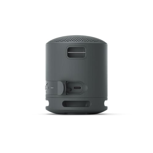 Bocina Portátil Sony XB100 Negra