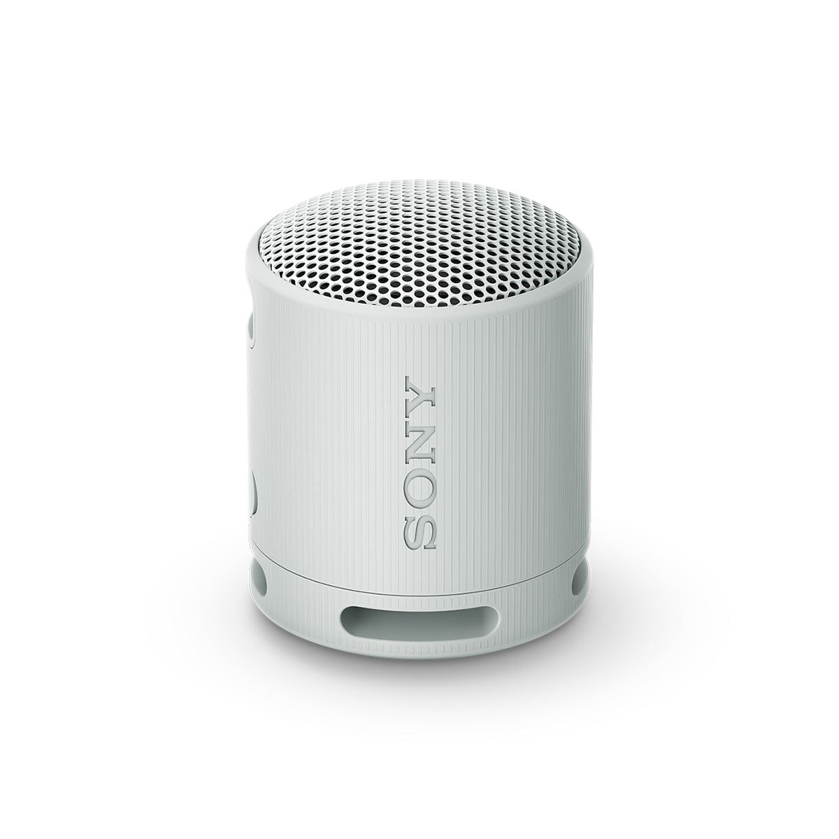 Bocina Portátil Sony XB100 Gris