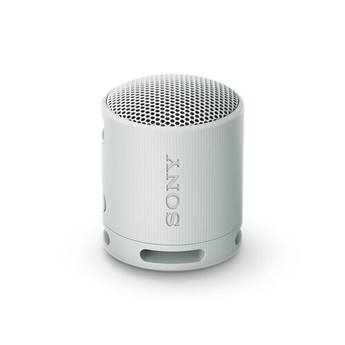 Bocina Portátil Sony XB100 Gris