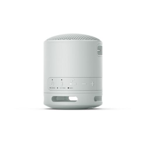 Bocina Portátil Sony XB100 Gris