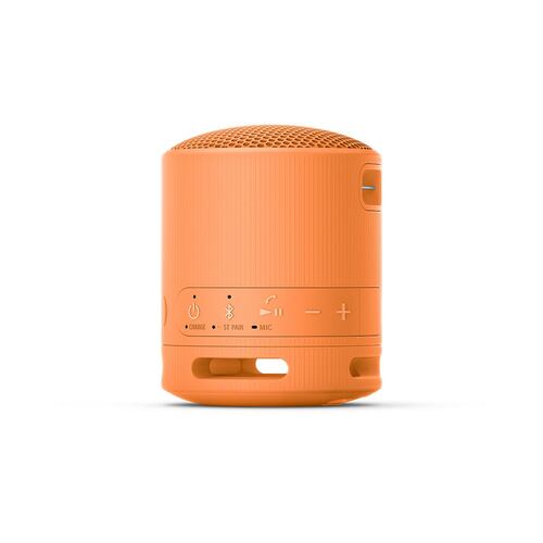 Bocina Portátil Sony XB100 Naranja
