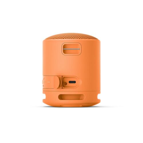 Bocina Portátil Sony XB100 Naranja