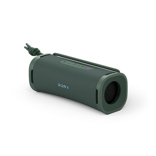 Bocina Sony ULT Field 1 Gris