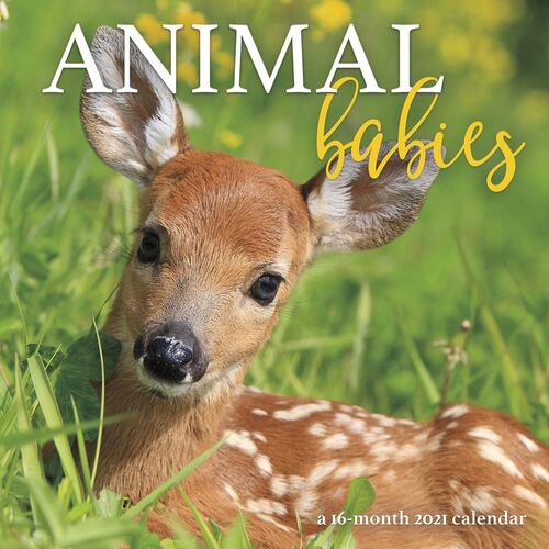 Calendario de pared Animal Babies