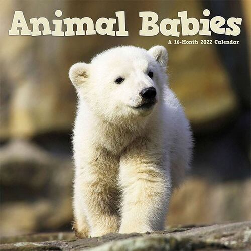 Calendario Animal Babies Date Works