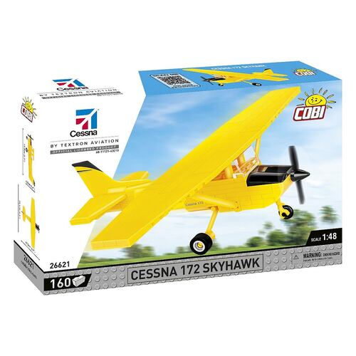 Avión Cessna 172 Skyhawk Amarillo 1:47