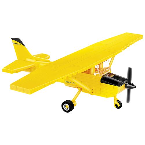 Avión Cessna 172 Skyhawk Amarillo 1:47