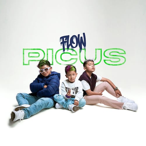 CD Picus - Flow