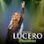 CD+ DVD Lucero- Brasileira