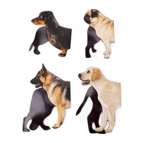 Separador Magnético Perros