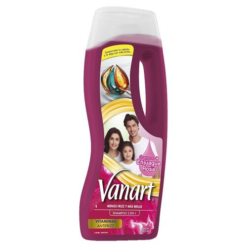 Shampoo Control Frizz 750ml Vanart
