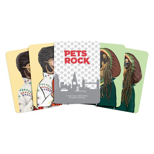 Memoria Pets Rock