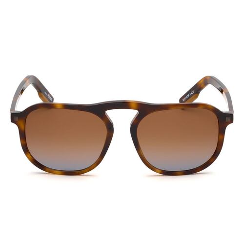 Lente de sol Ermenegildo Zegna EZ0115 en havana oscuro