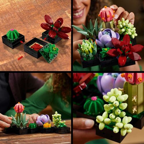 LEGO® Botanicals: Suculentas 10309