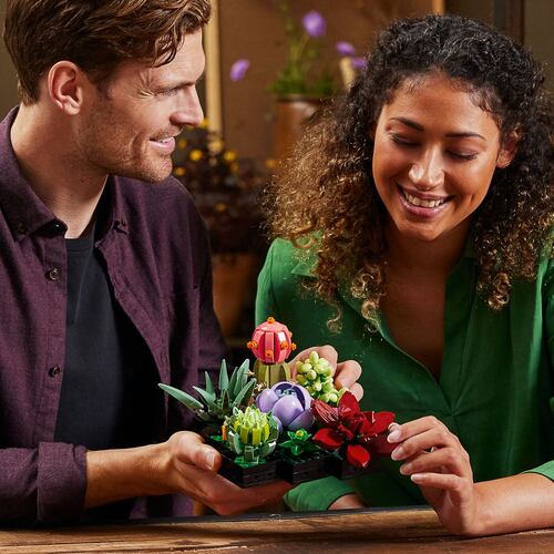 LEGO® Botanicals: Suculentas 10309